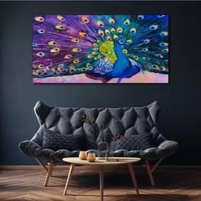Obraz canvas Zvieracie vták páv perie