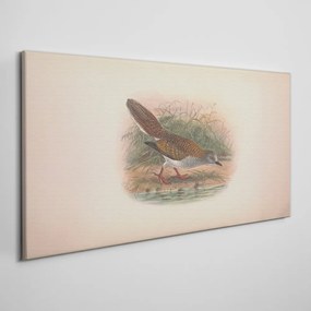 Obraz Canvas Vtáky zvieratá kreslenie