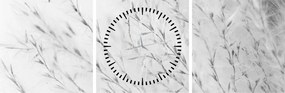 Obraz - Pampas grass N⁰2 (s hodinami) (90x30 cm)