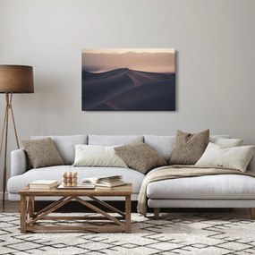 Obraz - Piesočné duny (90x60 cm)
