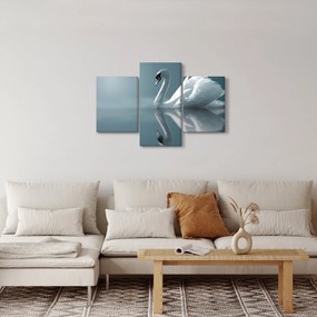 Obraz - Biela labuť (90x60 cm)