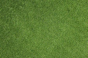 Artificial grass specialists AKCIA: 78x560 cm Umelá tráva Rosemary NEW metrážna - Rozmer na mieru cm