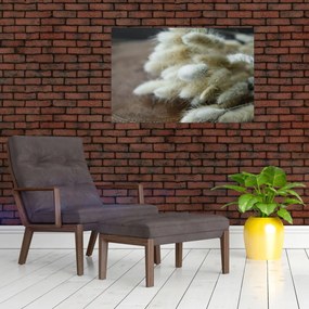 Obraz - Zajačí chvostík (90x60 cm)