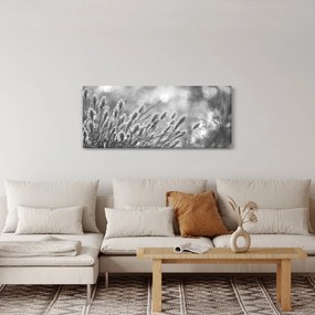 Obraz - Béžová soft grass N⁰1 (120x50 cm)