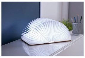 Svetelná dekorácia na USB v prírodnej farbe Booklight – Gingko