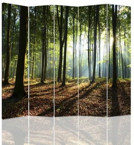 Ozdobný paraván Lesní stromy Krajina - 180x170 cm, päťdielny, klasický paraván