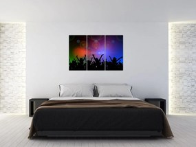 Farebný obraz - oslava