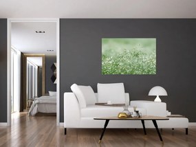 Obraz - Ranná rosa na steblach trávy (90x60 cm)