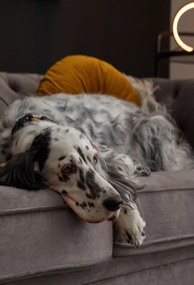 Pohovka Chesterfield, stredně šedá látka