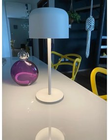 Immax 08497L - LED Stmievateľná vonkajšia solárna lampa LED/4W/5V 3600mAh IP44