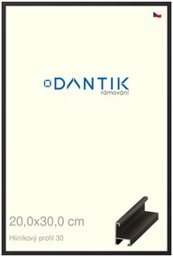 DANTIK rám na obraz 20x30 | ALU Černá matná (Sklo Čiré)