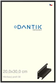 DANTIK rám na obraz 20x30 | ALU Černá matná (Sklo Čiré)