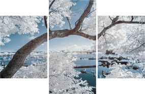 Obraz zasneženého stromu pri vode (90x60 cm)