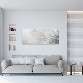 Obraz - Púpava (120x50 cm)