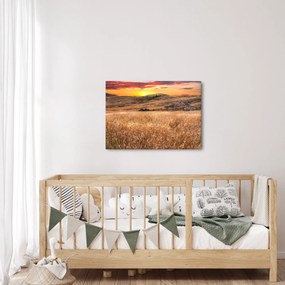Obraz pole (70x50 cm)