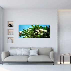 Obraz - Plumeria (120x50 cm)
