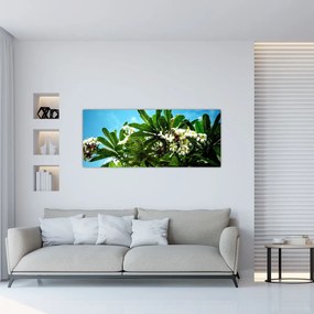 Obraz - Plumeria (120x50 cm)