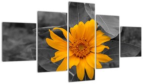 Obraz oranžového kvetu