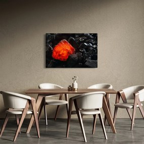 Obraz - Žeravý nerast (90x60 cm)