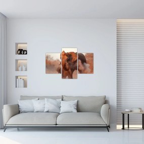 Obraz - Veľký slon africký (90x60 cm)