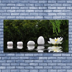 Obraz na akrylátovom skle Kamene kvet umenie 120x60 cm
