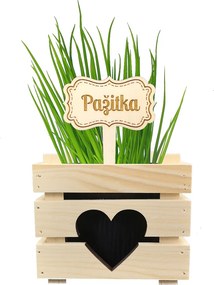 AMADEA Drevený zápich - ceduľka na bylinky Pažítka, výška 20 cm, český výrobok