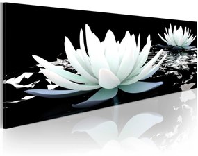 Artgeist Obraz - Alabaster lilies Veľkosť: 120x40, Verzia: Na talianskom plátne