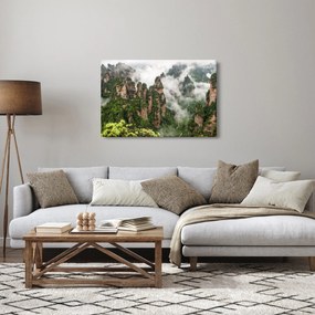 Obraz - National Park Zhangjiajie, Čína (90x60 cm)