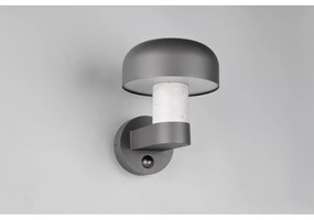 Nástenné vonkajšie svietidlo (výška 24,5 cm) Fraser – Trio