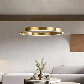Toolight Toolight, LED stropné osvetlenie 60cm, 60W, 3000K, LHJ053-CP1 C, zlatá matná, OSW-50027
