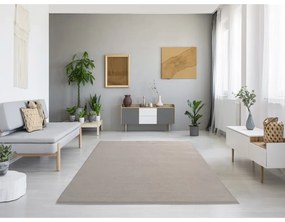 Sivý/béžový koberec 160x230 cm – Universal