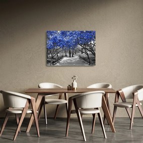 Obrázok - Modré stromy, Central Park, New York (70x50 cm)