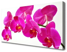 Obraz na plátne Kvety rastlina 100x50 cm