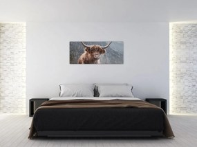 Obraz - Highlander krava (120x50 cm)