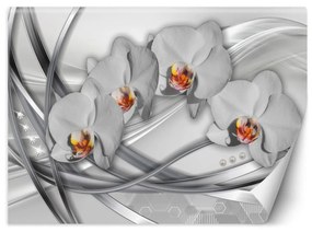 Fototapeta, Abstraktní orchideje - 200x140 cm