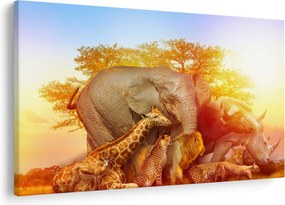 Obraz afrických zvieratiek (90x60 cm)