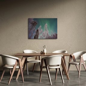Obraz polárna žiara nad zamrznutými stromami (70x50 cm)