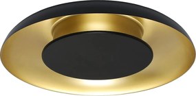 Stropné LED svietidlo Piattino, 1x LED 30w, 3000-6000k, b/g