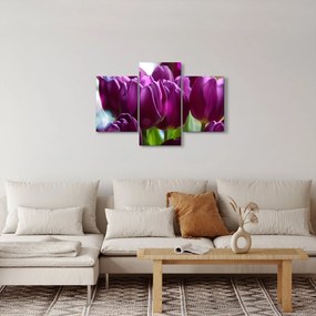 Obraz tulipánov (90x60 cm)