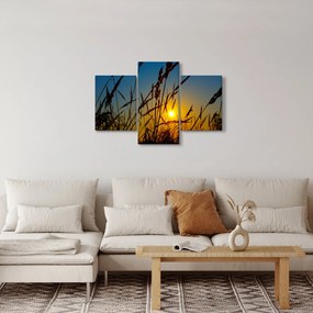 Obraz - Západ slnka v lúke (90x60 cm)