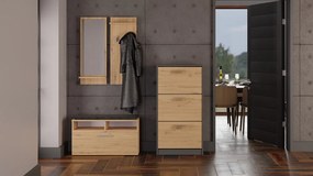 Botník (skrinka na topánky) Permanente 1 (antracit + dub artisan). Akcia -22%. Vlastná spoľahlivá doprava až k Vám domov. 1132588