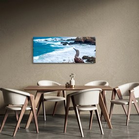Obraz - Sula modronohá (120x50 cm)