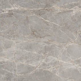 Dlažba Majestic Grey Silky 120x120 R