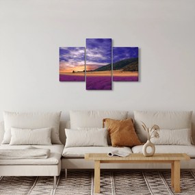 Obraz levanduľovej lúky (90x60 cm)