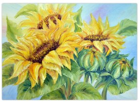 Obraz rozkvitnutých slnečníc (70x50 cm)