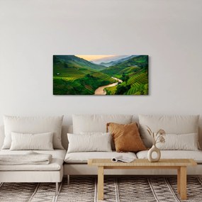 Obraz - Ryžové terasy II. (120x50 cm)