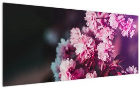Obraz kvetov stromov (120x50 cm)