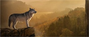 Obraz vlka na skale (120x50 cm)