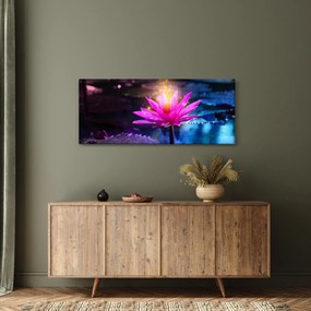 Obraz lekna na vode (120x50 cm)