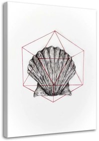 Gario Obraz na plátne Geometrická škrupina - Jan Perit Kablan Rozmery: 40 x 60 cm